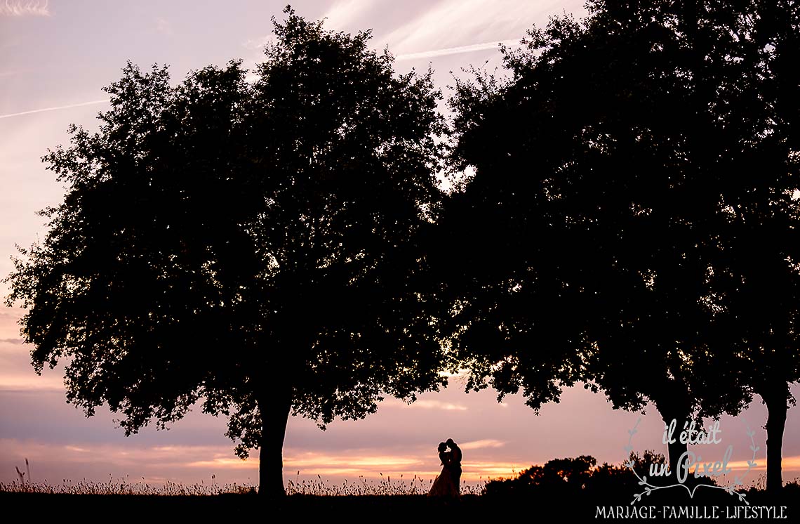Photo silhouette des mariés au coucher du soleil entre des arbres