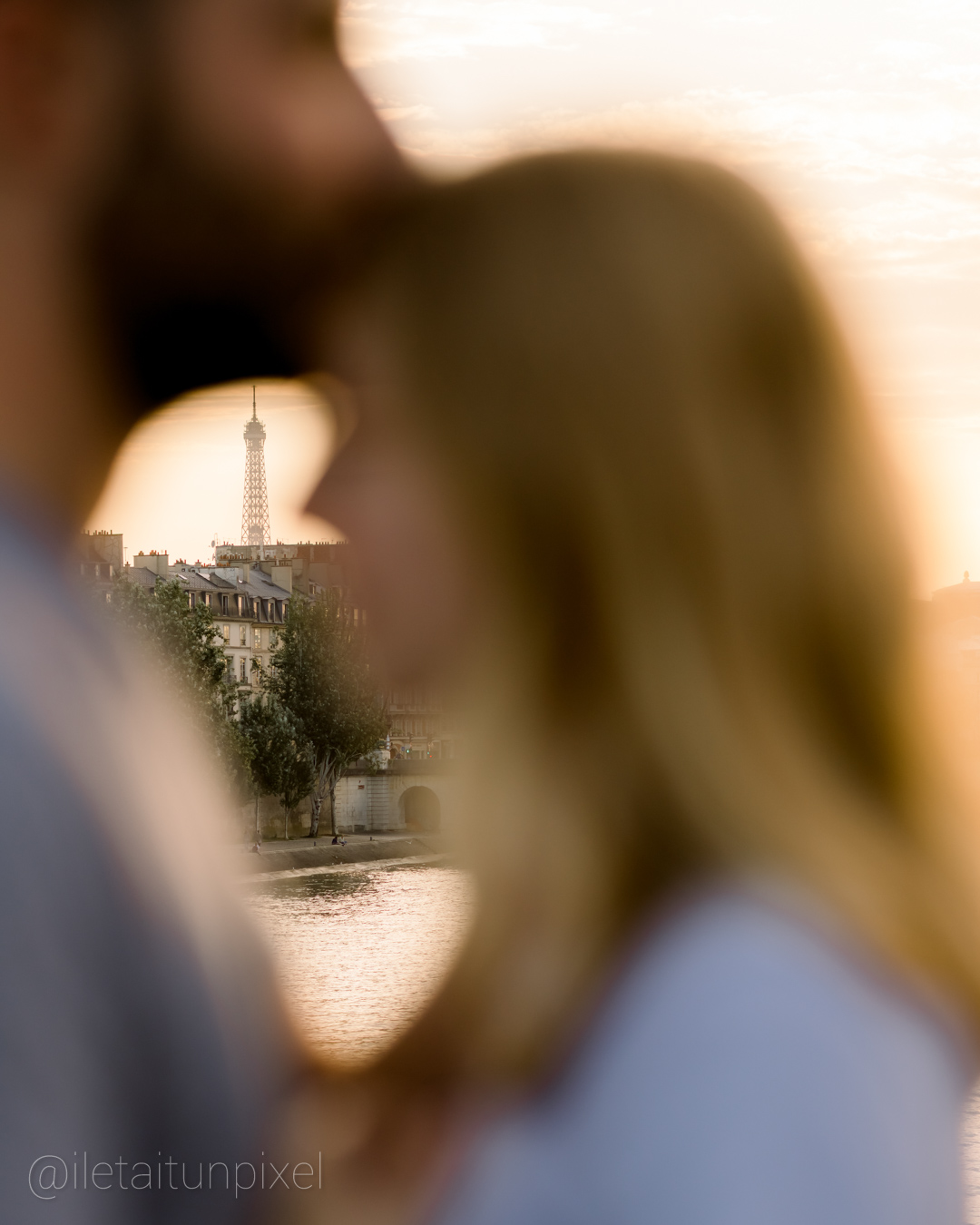 Sance engagement romantique sur le Pont des Arts  Paris