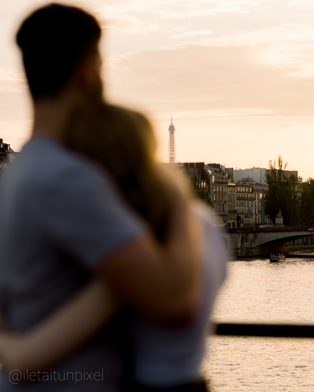 Sance engagement romantique sur le Pont des Arts  Paris