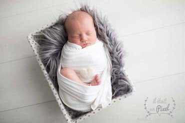 Photo d'un bébé dans un contenant type newborn posing lors d'un shooting naissance en studio
