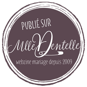 Il etait un Pixel est publié sur le blog Mademoiselle Dentelle